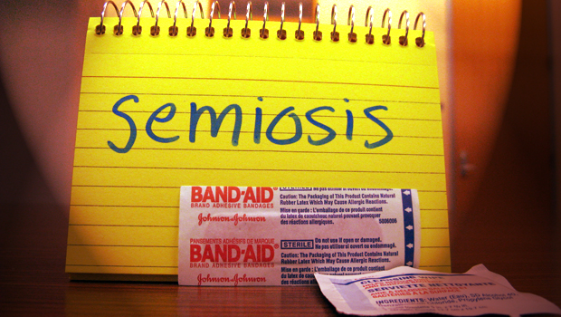 A yellow index card with SEMIOSIS written on it in blue. In front of the index card sits a bandaid.