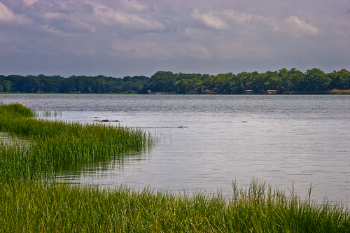 Lake Jesup