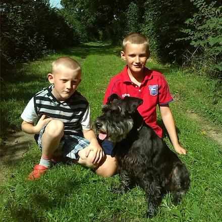 A black miniature schnauzer sits with tongue out in front of two young boys in a tree-lined field.