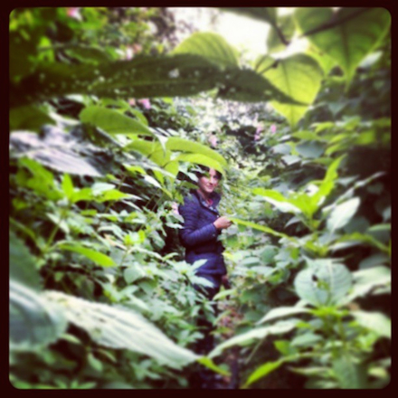 A woman is surrounded on all sides by heavy green foliage, a smartphone or GPS receiver in her right hand as she looks through the dense cover at the photographer.