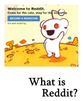 Button to What is Reddit? page