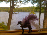 Sparklepony at the lake