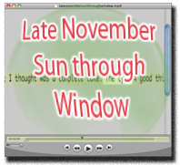Late November Sun through Window