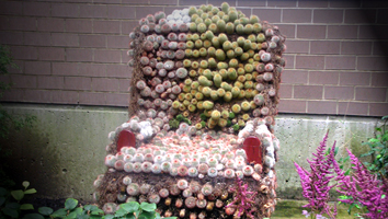 Photo of a chair covered in mini cacti against a brick wall and little sprigs of wild flowers