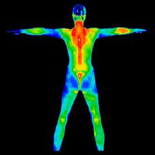 infrared image of human body