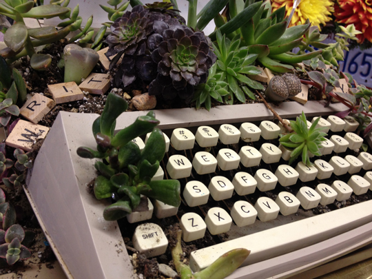typewriter with plants growing through it and scrabble tiles