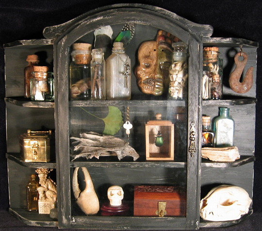 wunderkammer curiosity medicine cabinet with skulls and vials