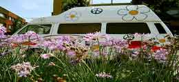 Hippie VW Bus in Field