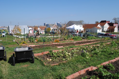 Photograph of a garden laboratory