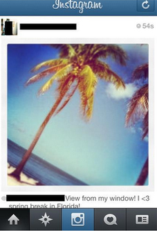 Instagram image of a palm tree on a beach with a user caption describing it as the person's view on spring break in Florida