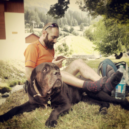 A man drapes his legs over a very large dog while he looks into his phone. Evergreens and hills are in the background.