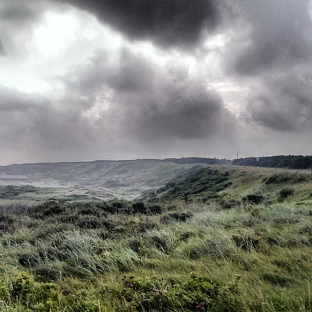 A grassy coastal expanse underneath dramatic dark clouds.