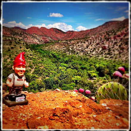A small garden gnome is positioned to the far leftof the frame, with a colorful desert landscape—including flowering prickly pear cactus and blue sky—dominating the somposition.