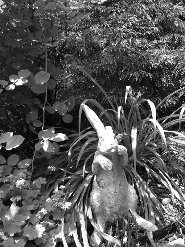 There is a stone rabbit in a garden