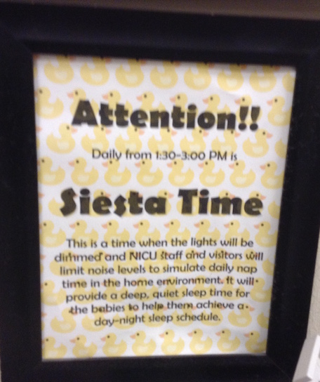 A small sign has a notice that reads: Attention!! Daily from 1:30-3:00 PM is Siesta Time. This is a time when the lights will be dimmed and NICU staff and visitors will limit noise levels to simulate daily nap time in the home environment. It will provide a deep, quiet sleep time for the babies to help them achieve a day-night sleep schedule.