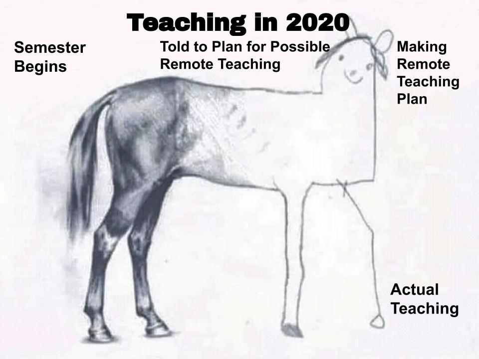 A pencil drawing of a horse that starts with the hindquarters drawn very detailed with the inscription "Semester Begins" and then tapers off in detail to the horse's head, which is drawn in childlike cartoon style, with the inscription "Making Remote Teaching Plan" and concludes with a stick-figure leg and hoof, with the inscription "Actual Teaching."