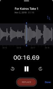 Sound waves visualized on iPhone Voice Recorder.