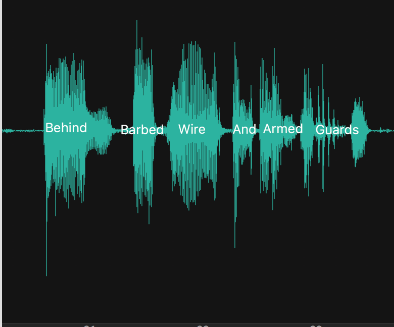 Audio waves of Takei