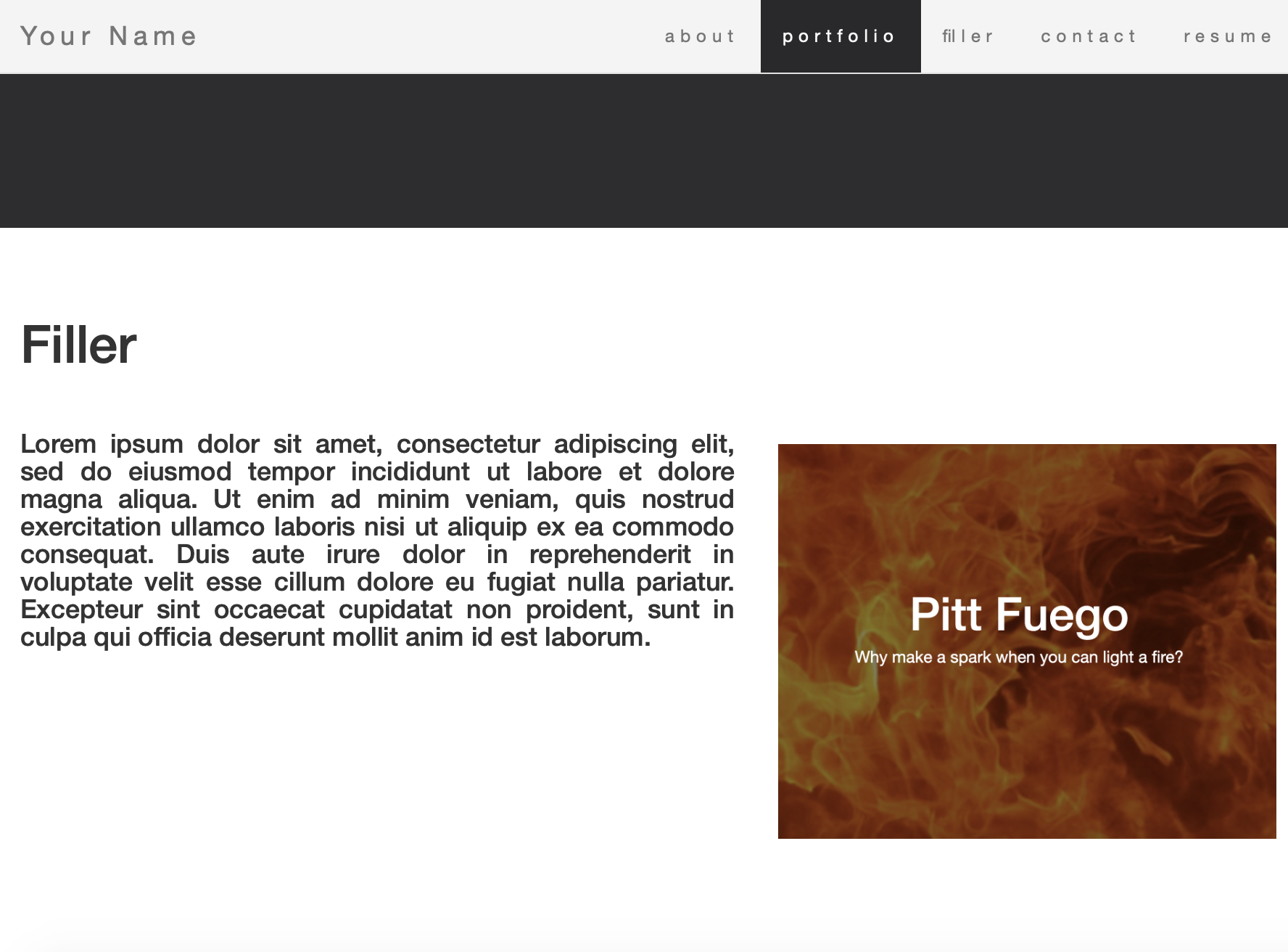 Standard Website Portfolio Design