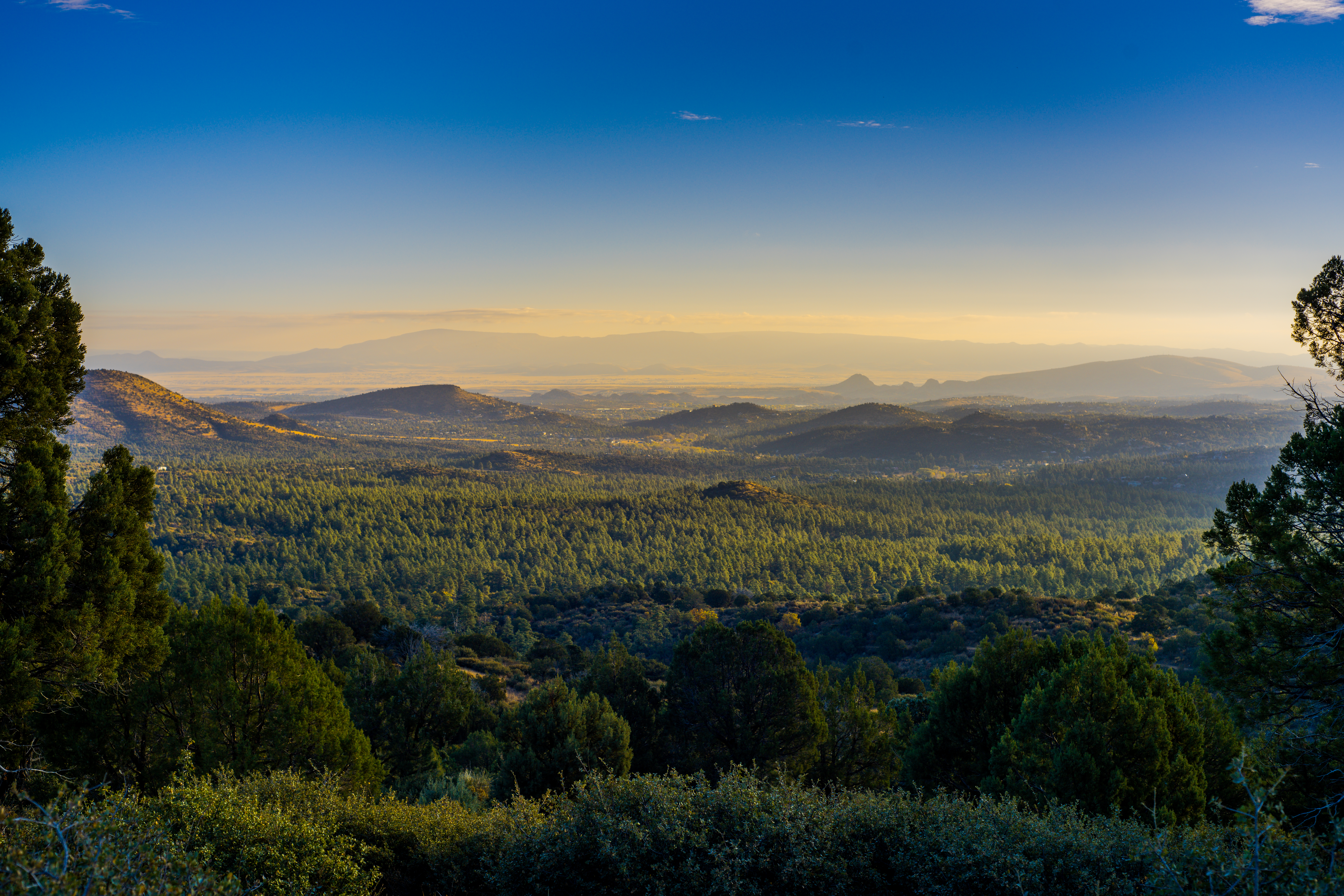 Beautiful landcape photograph of the forests and mountains surrounding Prescott, Arizona.