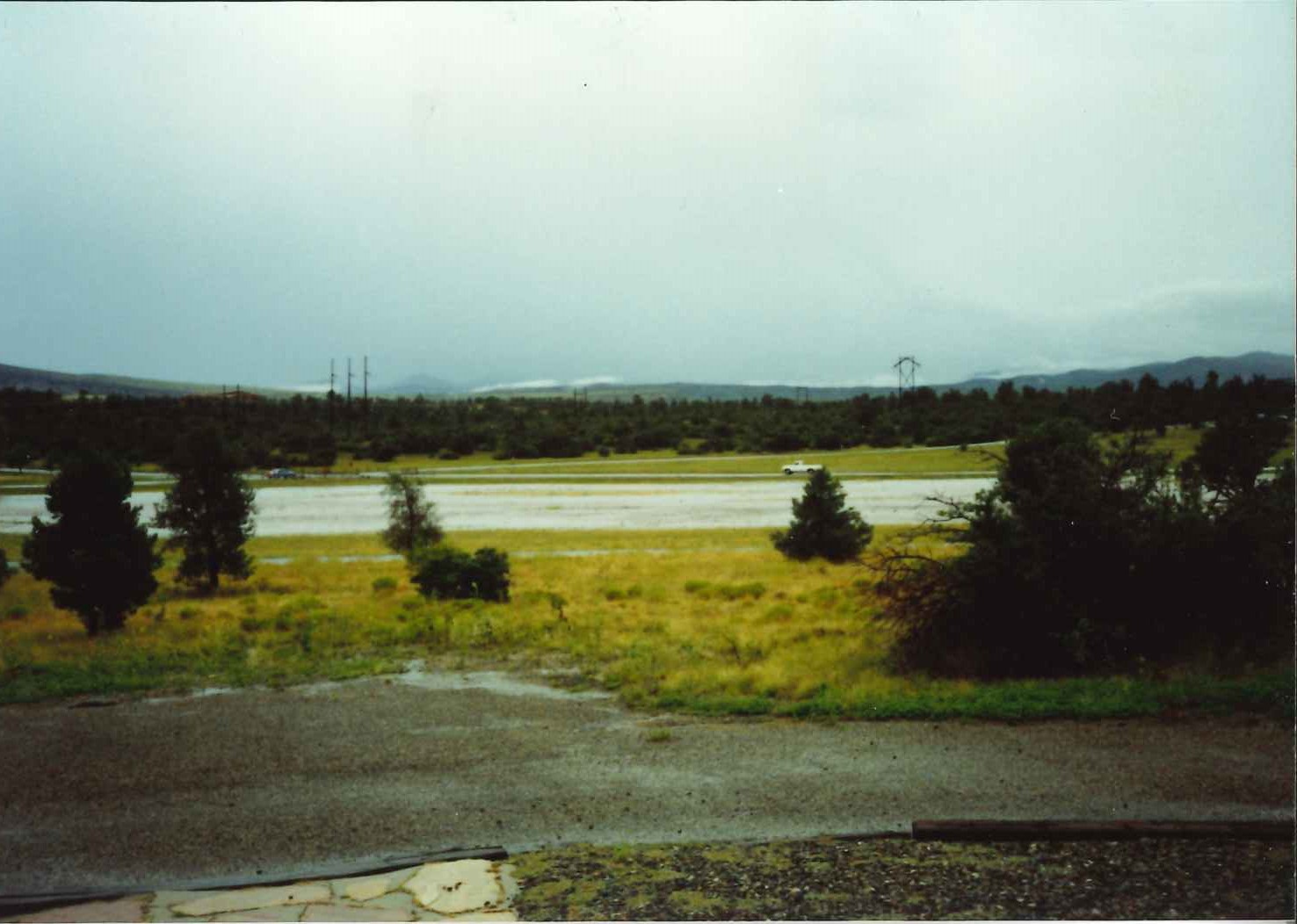 exterior photograph of a green, flooded landscape near campus.