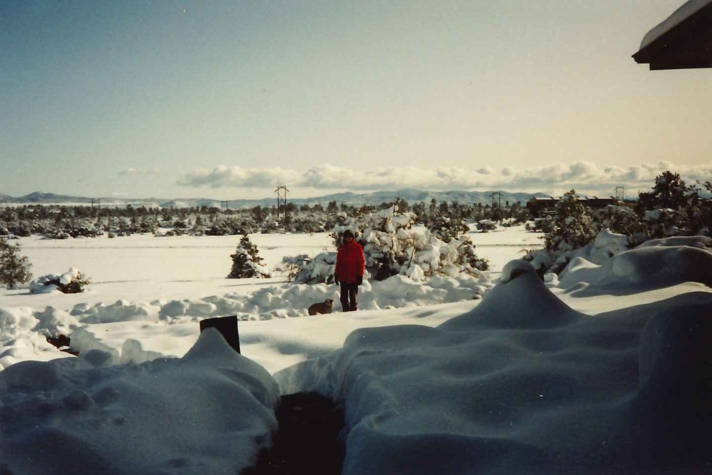 exterior photograph of Eileen and her dog Beanie standing out in ankle-deep snow between the Adams House and the main Prescott campus.