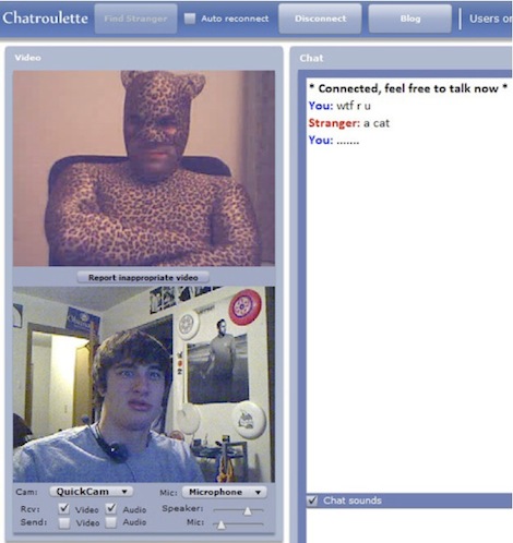 Chatroulette Screenshot: left a man in a cat suit and a man looking disgusted. Right: a chat asking, wtf r u.