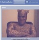 chatroulette image of man in leopard-printed cat suit