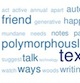 Tag Cloud, words polymorphous and friend are prominent