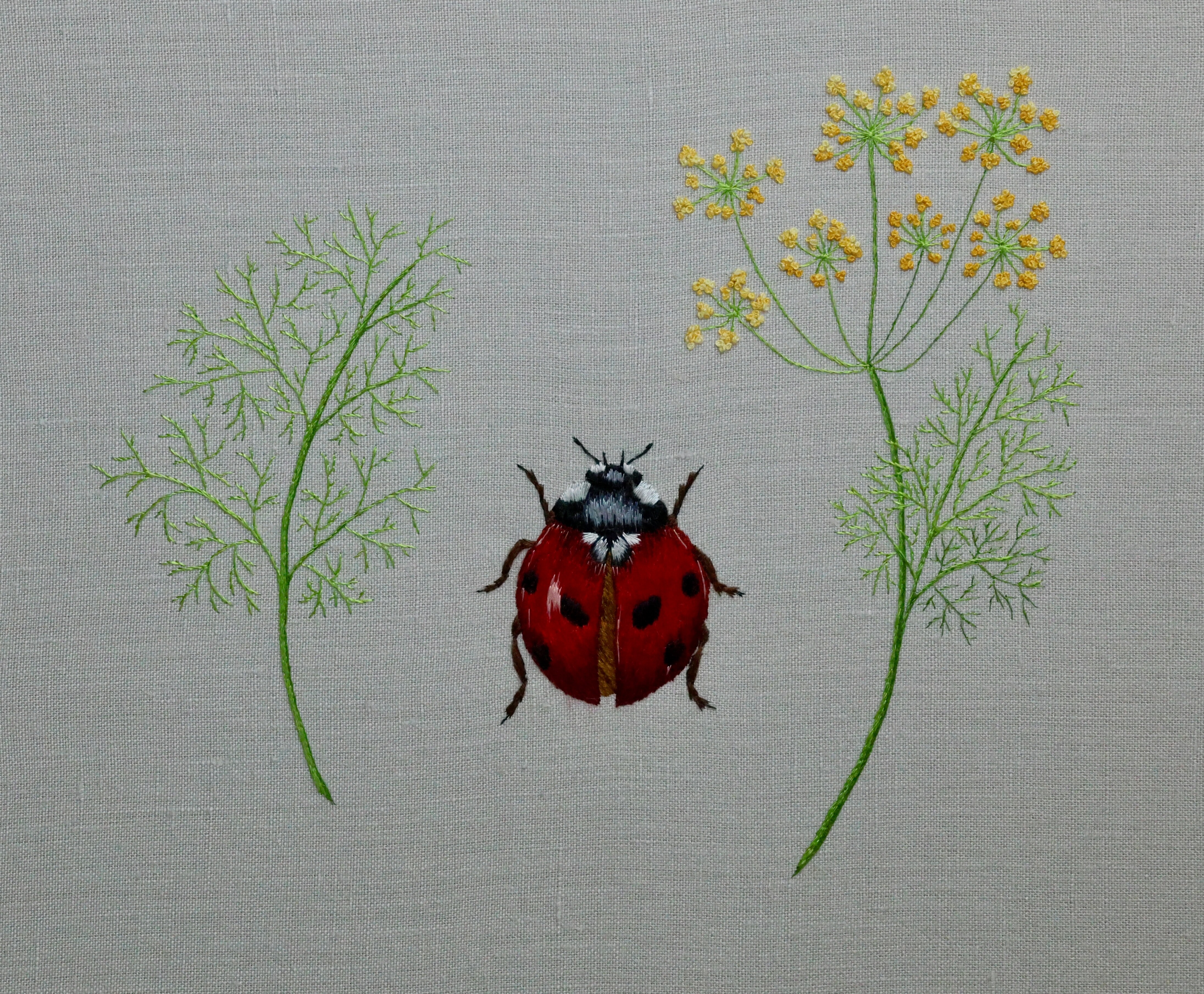 A color photo of hand-stitched surface embroidery in the style called 'silk shading' or 'needlepainting.' At the center is a realistic rendition of a 7-spot ladybug, framed by inward-curving sprigs of the plant it pollinates, fennel. The sprig on the left shows just leaves, whereas the sprig on the right also shows yellow-orange flowers arranged similarly to dandelion clocks. 