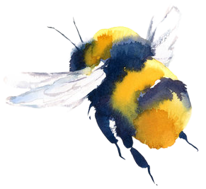 Bumblebee