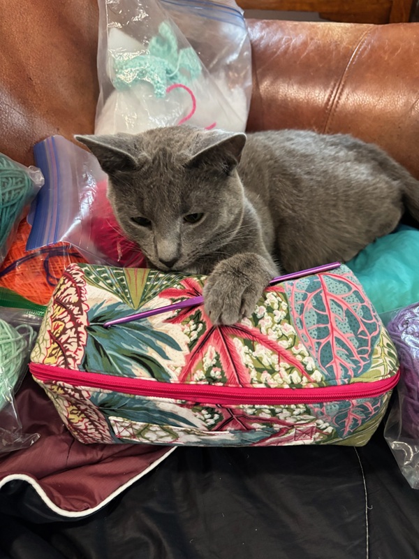 A gray cat holds a purple crochet hook under her paw. She is surrounded by different colored skeins of yarn.