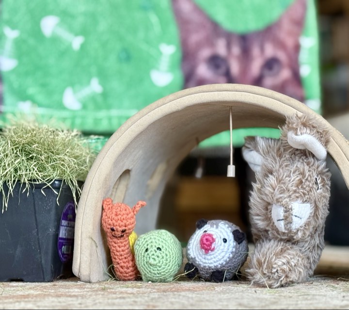 A brown and white stuffed rabbit dog toy named Foxy, sits with her conference creature friends--an opossum, and green creature, and an orange and yellow snail--under a wooden arch next to a container of cat grass.