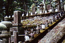 Ancestral Graveyard. Nara, Japan. Photo by David Gillette  2005.